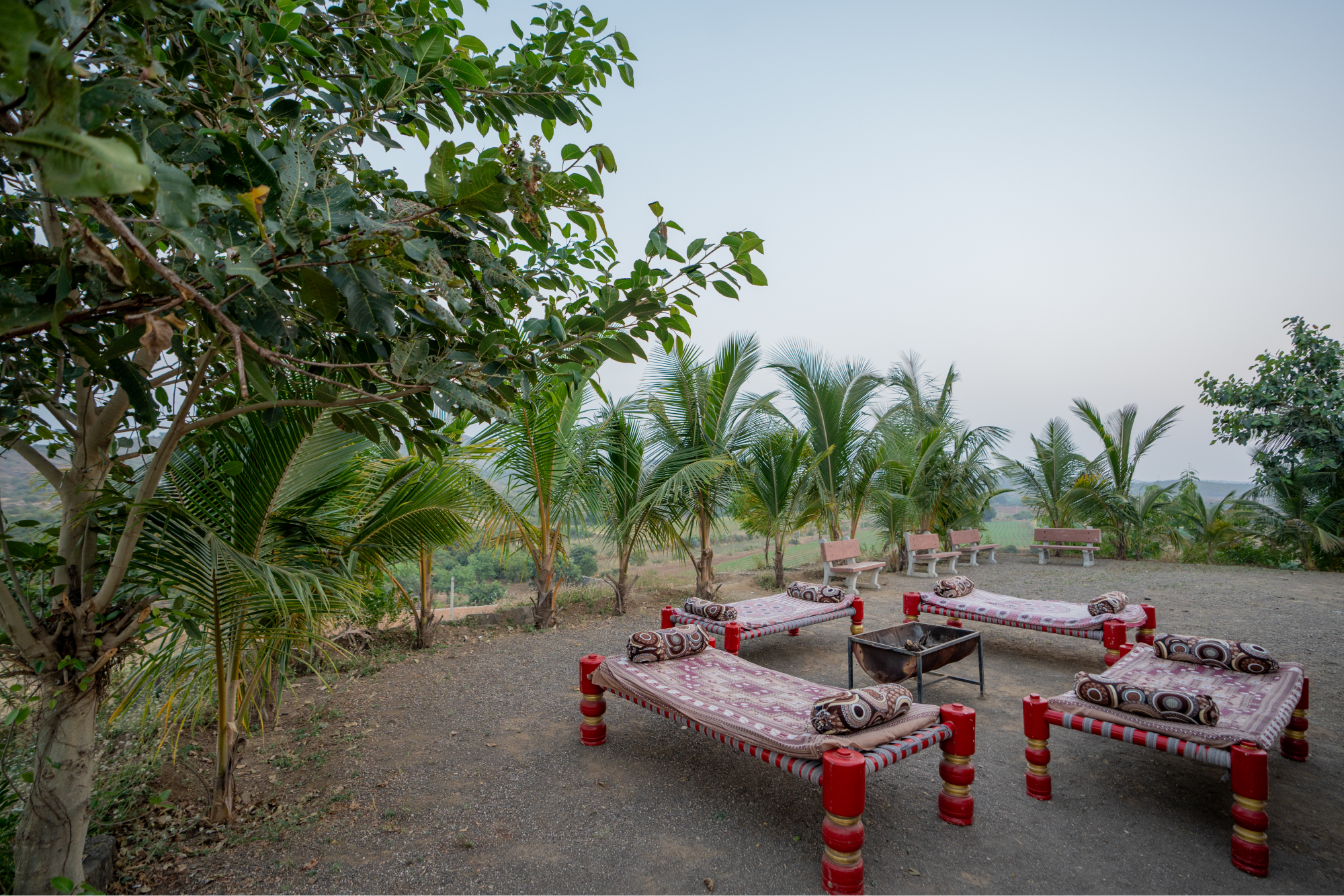 Family Fun Campfire With Gir Resort