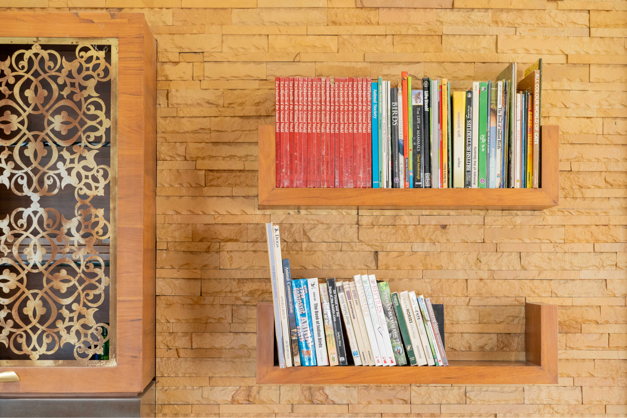 Reading Library in Gaj Kesri Resort